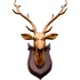 SAHARANPUR HANDICRAFTS wooden handicraft Wall mounted DEER HEAD with neck 50cm - showpieces for wall decoration and Home decor Clear