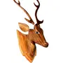 SAHARANPUR HANDICRAFTS Deer Head Long Neck Wooden Handmade Showpiece Wall Mounted and Wall Hanging Hook Home Decor B Category Clear 56cm