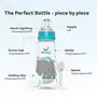 Mylo Essentials 2 in 1 Baby Feeding Bottles with Spoon for New Born Baby (125ml + 250ml) | Anti Colic & BPA Free Feeding Bottles | Feels Natural Baby Bottle | Easy Flow Neck Design- Bear + Elephant, 5 image