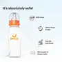 Mylo Essentials Baby Feeding Bottle (250ml) for New Born Baby | Anti Colic & BPA Free Feeding Bottles | Feels Natural Baby Bottle | Easy Flow Neck Design- Zesty Orange, 6 image