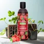 Refresh Strawberry Shampoo 200 ml Paraben Free Strawberry Fruit Shampoo For Healthy Scalp Suitable For All Hair Types, 7 image