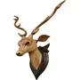 SAHARANPUR HANDICRAFTS-Home Decor Item Deer Head50 cm high with Horn Wooden Handicraft showpieces Product for Wall Decoration. Make Your Home and Office Attractive and Different.