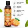 Refresh Orange Shampoo 200 ml Paraben Free Orange Fruit Shampoo For Healthy Scalp Suitable For All Hair Types, 4 image