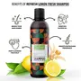 Refresh Lemon Fresh Shampoo 250 ml | Helps to Create Shinier Hair | Reduces Oil Built Up on Scalp | Helps to Deep Cleanses the Scalp | For Men & Women, 4 image