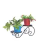 WROUGHT IRON CRAFTS Metal Plant Stand - Pack of 2, 3 image
