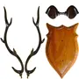 SAHARANPUR HANDICRAFTS -Home Decor Item Deer Head50 cm high (After Fitting) Wooden Handicraft showpieces Product for Wall Decoration. (Black (70 Cm)), 7 image