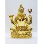 Gold and Silver Plated Lord Shiva Idol (Gold), 3 image