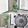 Wrought Iron Plant Stands Indoor OutdoorMetal Tall Plant Stand Iron Flower StandFlower Pot Holder Flower Pot Stand Flower Pot SupportingPlant Holders Plant Rack Potted Plant Stand(Black31.5in), 3 image