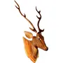 SAHARANPUR HANDICRAFTS Deer Head Long Neck Wooden Handmade Showpiece Wall Mounted and Wall Hanging Hook Home Decor B Category Clear 56cm, 3 image