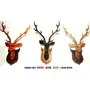 SAHARANPUR HANDICRAFTS wooden handicraft Wall mounted DEER HEAD with neck 50cm - showpieces for wall decoration and Home decor Clear, 3 image