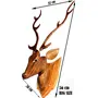 SAHARANPUR HANDICRAFTS Deer Head Long Neck Wooden Handmade Showpiece Wall Mounted and Wall Hanging Hook Home Decor B Category Clear 56cm, 2 image
