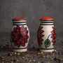 KHURJA POTTERY Ceramic Handpainted Salt & Pepper Dispenser Set (White), 2 image