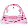 DearJoy Baby Bedding Set/ Mattress Set with Mosquito Net and Baby Play Gym (Pink Bunny Print)