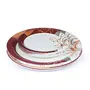 Golden Fish Rose-Marry Melamine Round Combo Full || Quarter Dinner Plates (Pack of 12 Leaves Print) (RM-F-QP-2-12)