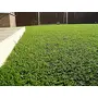 Kuber Industries High Density Artificial Grass Carpet Mat for Balcony Lawn Door(6.5 X 2 Feet)-Ctktc33011, 6 image