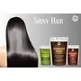 Herbal Powder for Hair Growth| Combo of 7 Herbal Hair Mask | Amalaki Bhringraj Brahmi Soapnut Shikakai Aloe vera & Hibiscus (Each 100g) | Resealable pack, 5 image