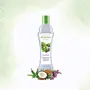 Dhathri Hair Care Herbal Oil - 100 ml (Pack of 2), 2 image
