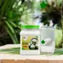 Bliss of Earth 1KG coconut water Powder natural Spray Dried In Sealed Jar, 5 image