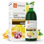 Krishna's Herbal & Ayurveda Cholesterol Care Juice - 500 Ml (Pack of 2), 2 image