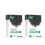Vegetal Safe Color Hair Color for Unisex 100g - Soft Black (Pack of 2)