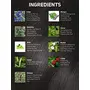 Vegetal Safe Color Hair Color for Unisex 100g - Soft Black (Pack of 2), 6 image