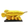 Plusvalue Feng Shui Golden Arowana Fish Strong Wealth Symbol & Protects from Mishaps Troubles