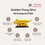 Plusvalue Feng Shui Golden Arowana Fish Strong Wealth Symbol & Protects from Mishaps Troubles, 3 image
