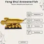Plusvalue Feng Shui Golden Arowana Fish Strong Wealth Symbol & Protects from Mishaps Troubles, 2 image