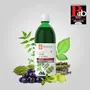 Krishna's Juice - 1000 ml | Blend of 11 herbs Methi Amla Karela Jamun Kutki Guduchi & 5 other herbs to manage sugar levels | Health Drink | Made in India, 2 image