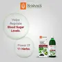 Krishna's Juice - 1000 ml | Blend of 11 herbs Methi Amla Karela Jamun Kutki Guduchi & 5 other herbs to manage sugar levels | Health Drink | Made in India, 3 image