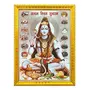 shiva/Shiv/bholenath ji all Jyotirlinga shivling photo frame with Laminated Poster for puja room temple Worship/wall hanging/gift/home decor (30 x 23 cm)