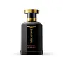 Park Avenue Conquer  Eau De Parfum Men 100ml | Perfume for Men | Premium Luxury Fragrance Scent | Long-lasting Aroma Perfume, 3 image