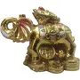 Elephant with Frog Showpiece Multi Colour
