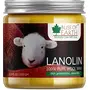 BLISS OF EARTH  Pure Golden Lanolin Natural Wool Wax for Soothing Sore Nipples (100gm)