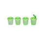 Signoraware Medium Spice Shaker Set 90ml Set of 4 Parrot Green