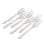 Coconut Stainless Steel Master Fork Set of 6 Piece