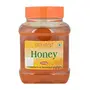 Patanjali Honey - Pure 500g Bottle