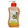 Patanjali Herbal Anti Bacterial Hand Wash -250 ml
