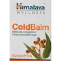 Himalaya Ointment Cold Balm 10g